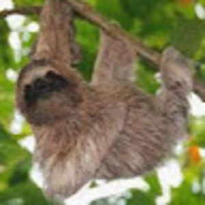 Meet your Posher, Lola